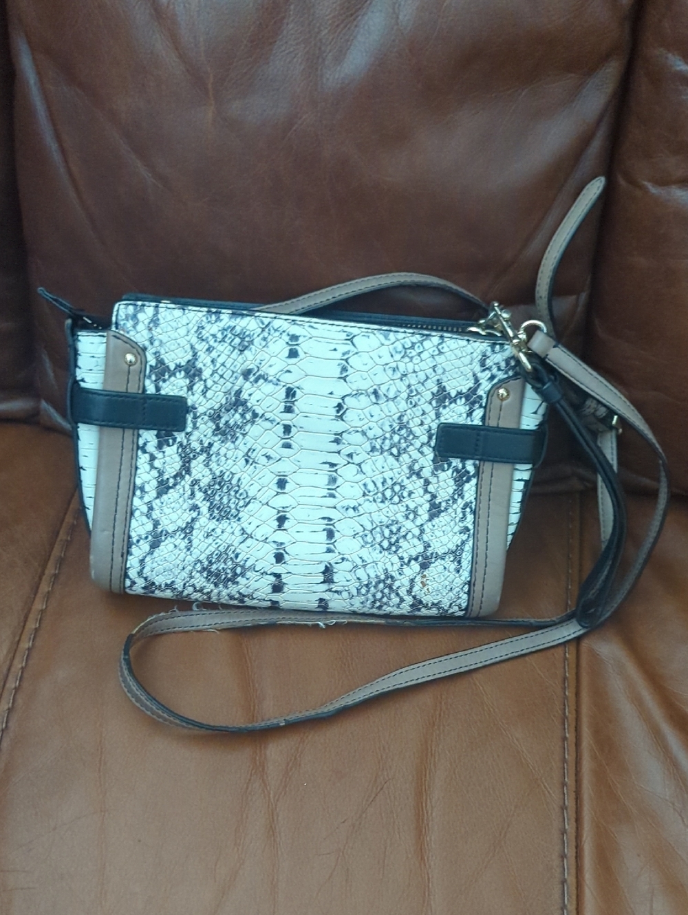 Coach Mini Swagger Crossbody - Picture 5 of 11